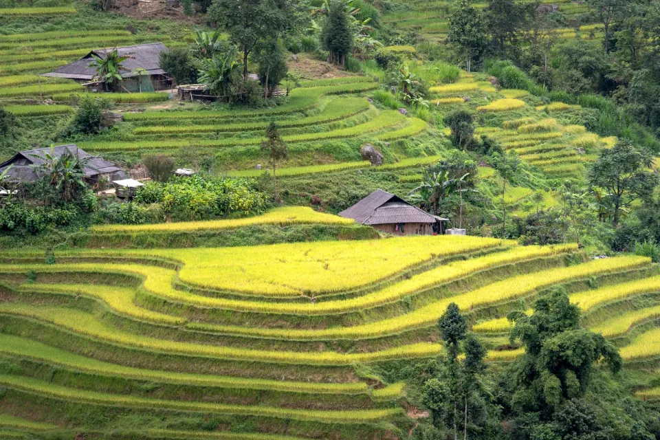 Kho gạo của Nguyễn Văn Lộc